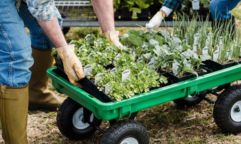 Gardening Need