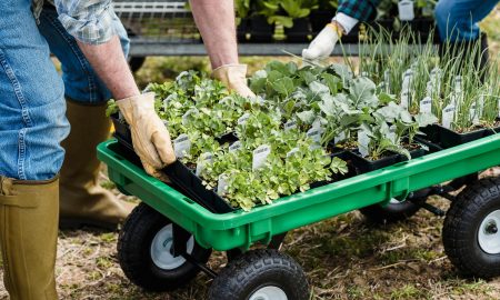 Gardening Need