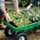 Gardening Need