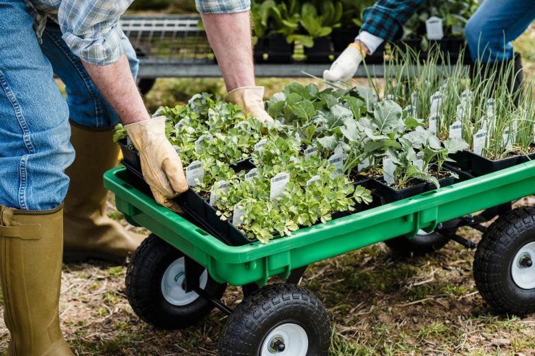Gardening Need